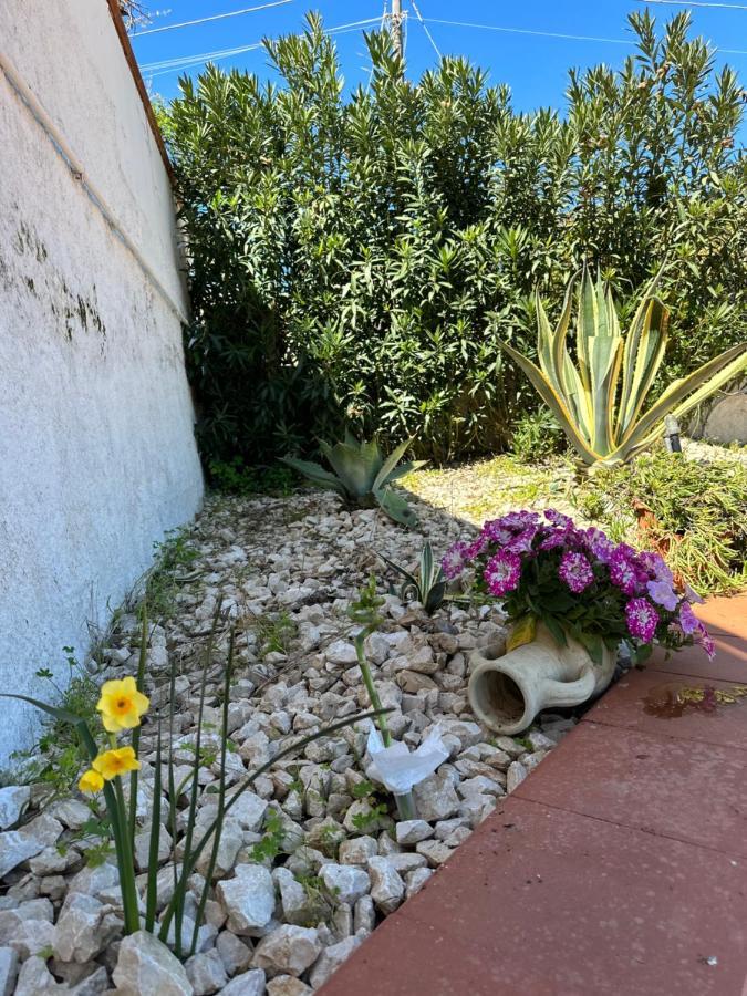 Villa Fiorenza - 100 Mt Dal Mare Castellammare del Golfo Bagian luar foto